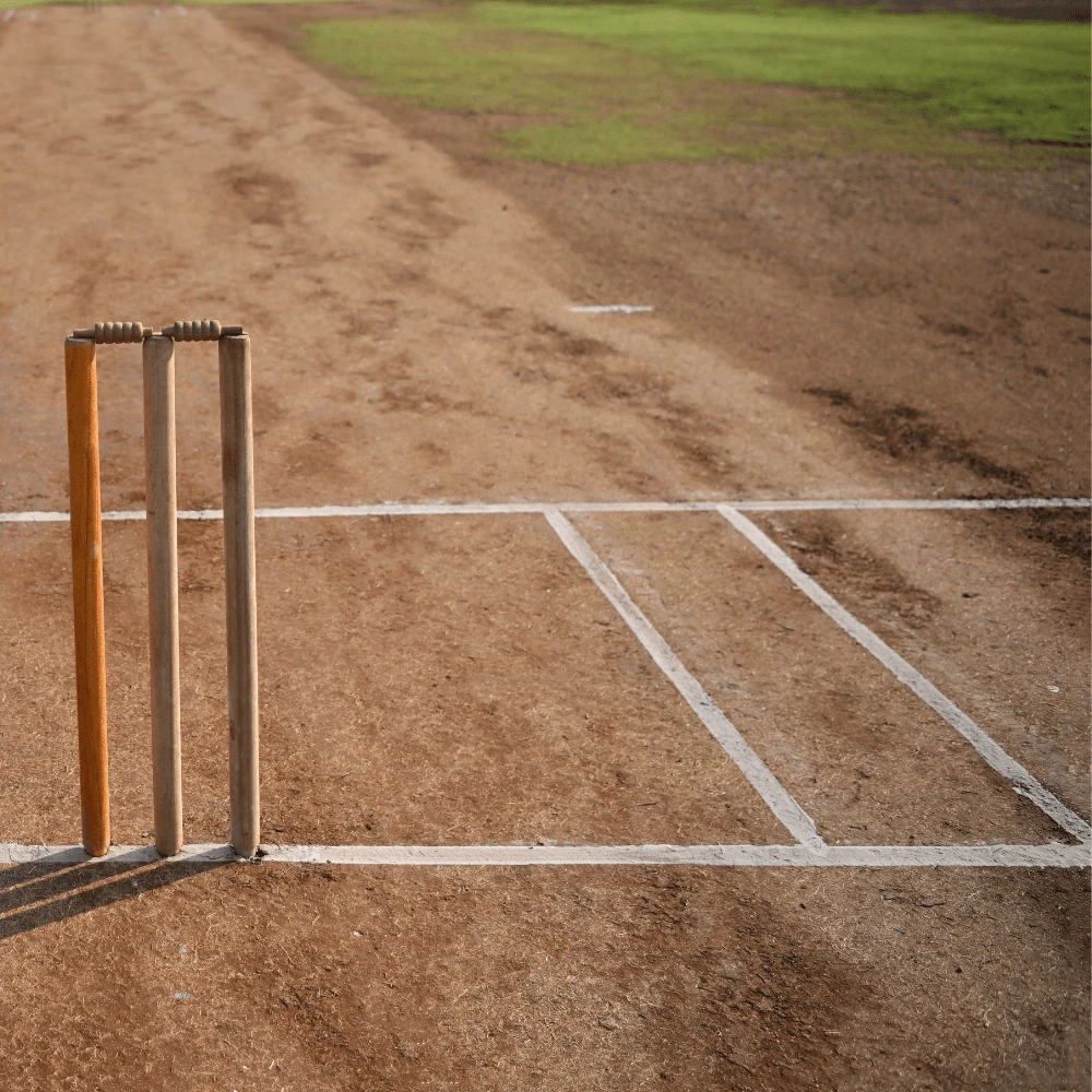 Sports Sand Dressing 2 Sports Sand Dressing - Image 2