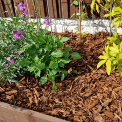 Premium Border Landscaping Bark Mulch 14 Premium Border Landscaping Bark Mulch -Dandys Store 1 840dfbbf fd53 4e1f 89b1 e854019ebd95