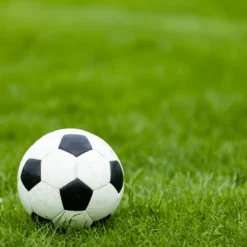 Sports Sand Dressing