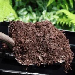 Spent Mushroom Compost -Dandys Store 2 99e80ae0 1dc0 4008 af9b 1580a7443d04