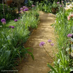 Hoggin Self Binding Gravel 10mm To Dust -Dandys Store 3 27b4b40e c696 4389 9053 75dea98f0363