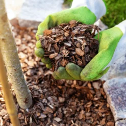 Premium Border Mini Bark Mulch -Dandys Store 3 aee0e98c edc1 4043 adfe e27f71a83484