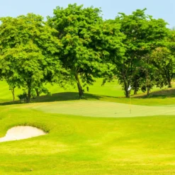 Sports Sand Dressing 23 Sports Sand Dressing -Dandys Store 3 e0c44d32 5f82 4585 981e 5f640d09a6fd