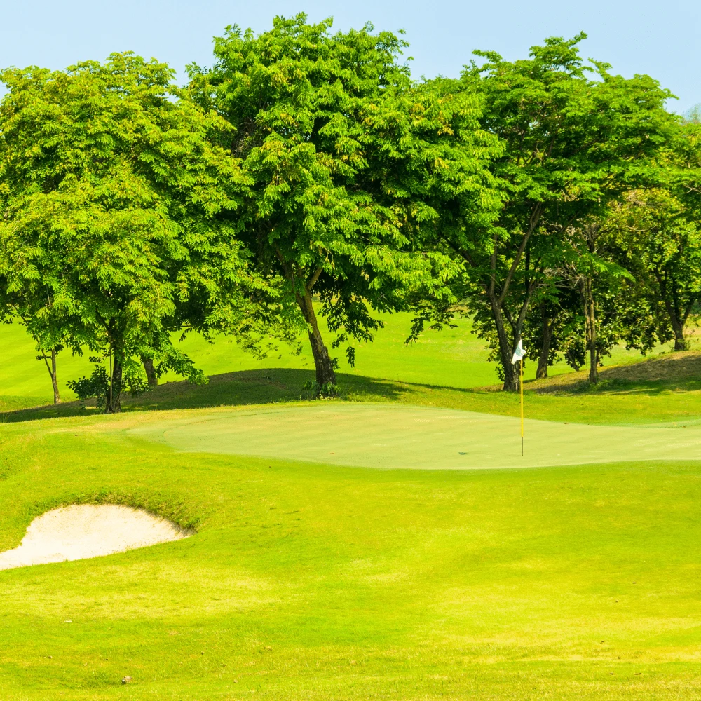 Sports Sand Dressing 8 Sports Sand Dressing - Image 8