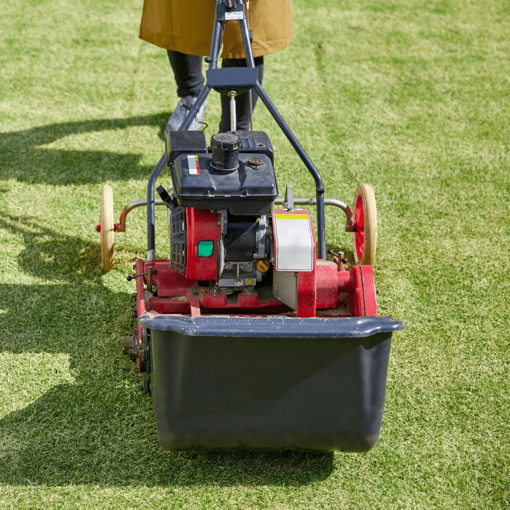 Sports Sand Dressing 5 Sports Sand Dressing - Image 5