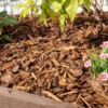 Premium Border Landscaping Bark Mulch