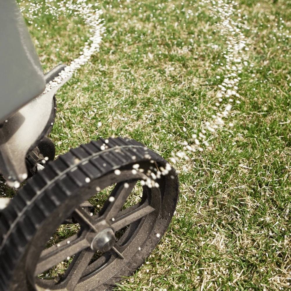 Sports Sand Dressing 4 Sports Sand Dressing - Image 4