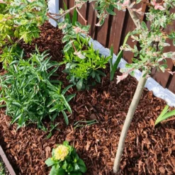 Premium Border Landscaping Bark Mulch 16 Premium Border Landscaping Bark Mulch -Dandys Store 7 ccf249c1 b873 4b80 bc82 0dba42e7d17b