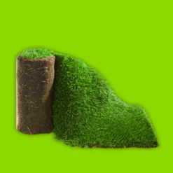 Click And Collect Lawn Turf M2 Rolls - Special Offer (Collection Only).