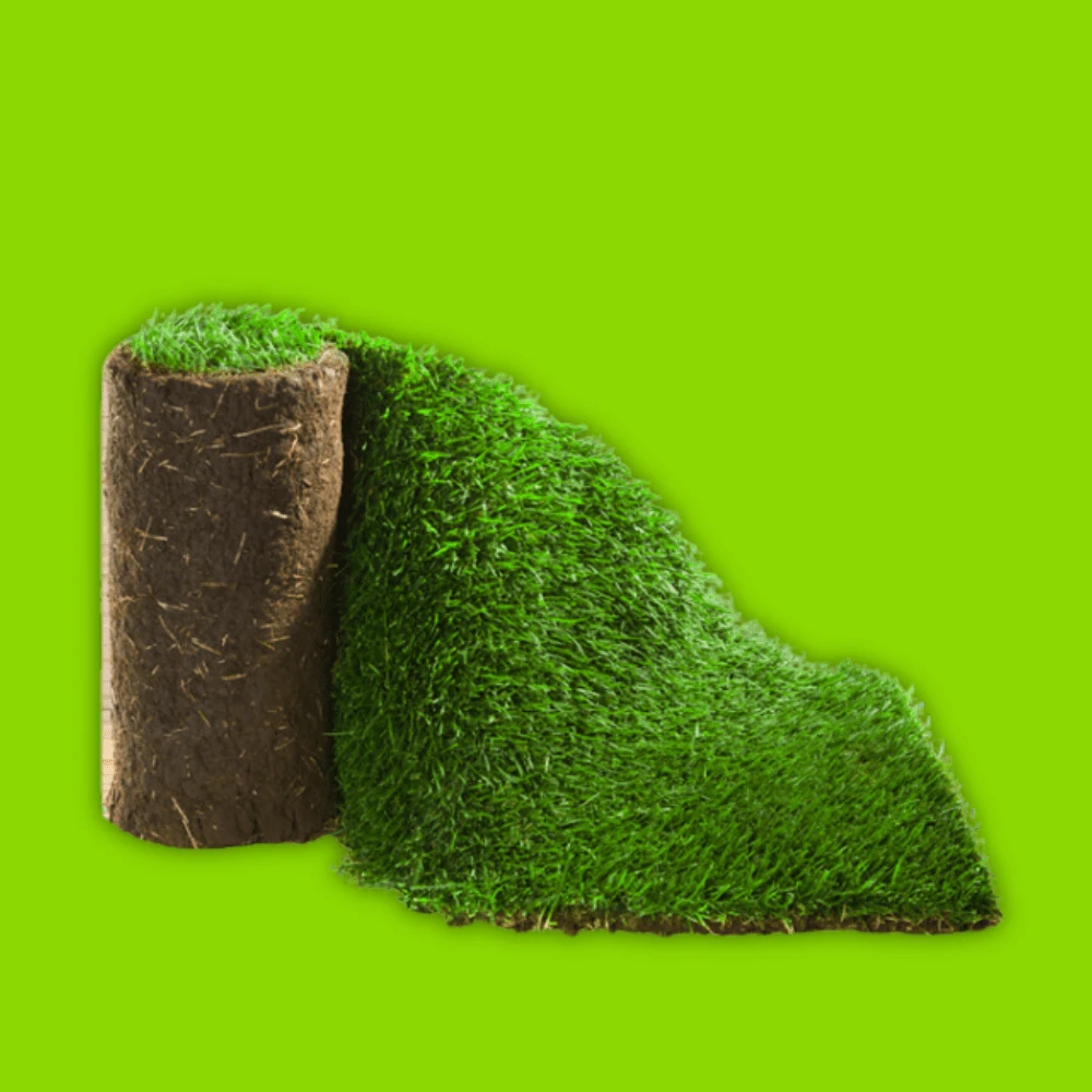 Click And Collect Lawn Turf M2 Rolls - Special Offer (Collection Only). 1 Click And Collect Lawn Turf M2 Rolls - Special Offer (Collection Only).