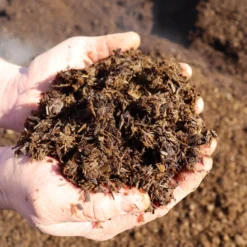 AutumnMix Compost Sample