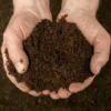 BedGrow® Raised Bed Welsh Topsoil Mix Sample