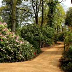 Hoggin Self Binding Gravel 10mm To Dust -Dandys Store HOGGIN PATH eb01f7ab 9498 4eca b899 1676a120f802