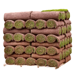 Click And Collect Lawn Turf M2 Rolls - Special Offer (Collection Only). 7 Click And Collect Lawn Turf M2 Rolls - Special Offer (Collection Only). -Dandys Store TURF PALLET