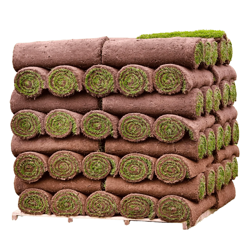 Click And Collect Lawn Turf M2 Rolls - Special Offer (Collection Only). 3 Click And Collect Lawn Turf M2 Rolls - Special Offer (Collection Only). - Image 3