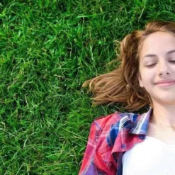 Click And Collect Lawn Turf M2 Rolls - Special Offer (Collection Only). 8 Click And Collect Lawn Turf M2 Rolls - Special Offer (Collection Only). -Dandys Store click collect lawn turf m2 rolls special offer collection only turf grass seed dandys topsoil 289167