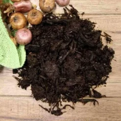 Click And Collect Mushroom Compost 25ltr
