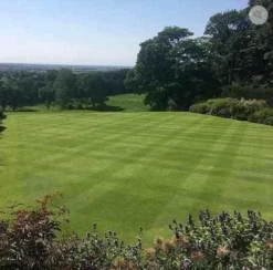 Fine Lawn / Bowling Green Grass Seed 20kg