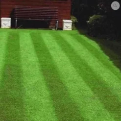 Four Seasons Lawn Grass Seed 20kg