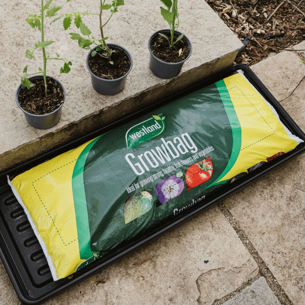 Growbag 1 Growbag