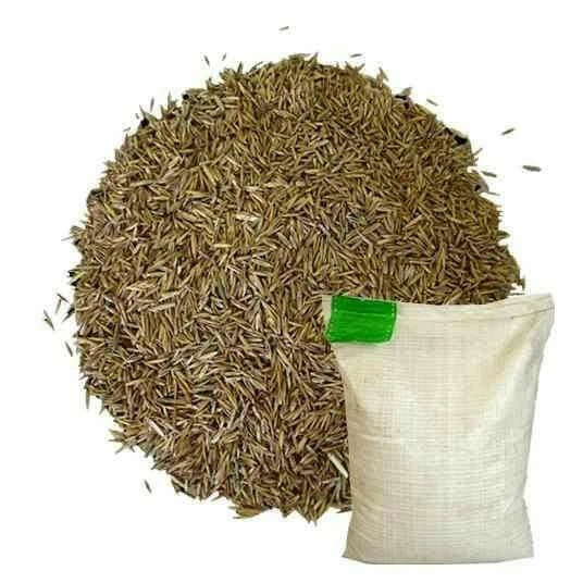 Hardwearing Grass Seed 2 Hardwearing Grass Seed - Image 2