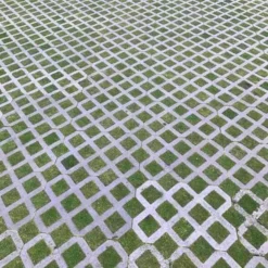 Hexipath Gridding Grass Seed