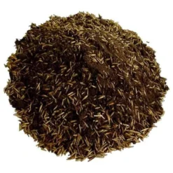 Fill & Fix Lawn Patch Repair Blend -Dandys Store lawn in a bag dandys topsoil 858743 86370da1 0a63 4593 b601 880340822416