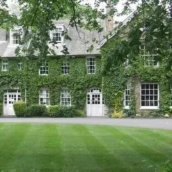 Premium Front Lawn Low Maintenance Grass Seed 20kg