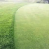 Perennial Greens Grass Seed Mix - For Golf Greens