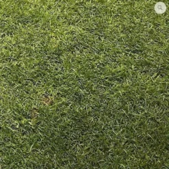 Ultimate Tee/Divot Grass Seed Mix - For Golf Courses 20kg